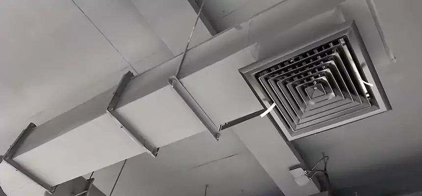 Our Pest Removal From Ducts Services in Country Club, FL