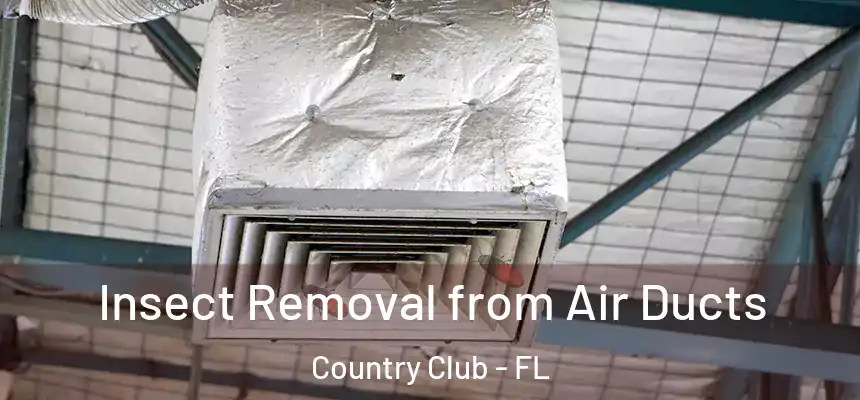 Insect Removal from Air Ducts Country Club - FL