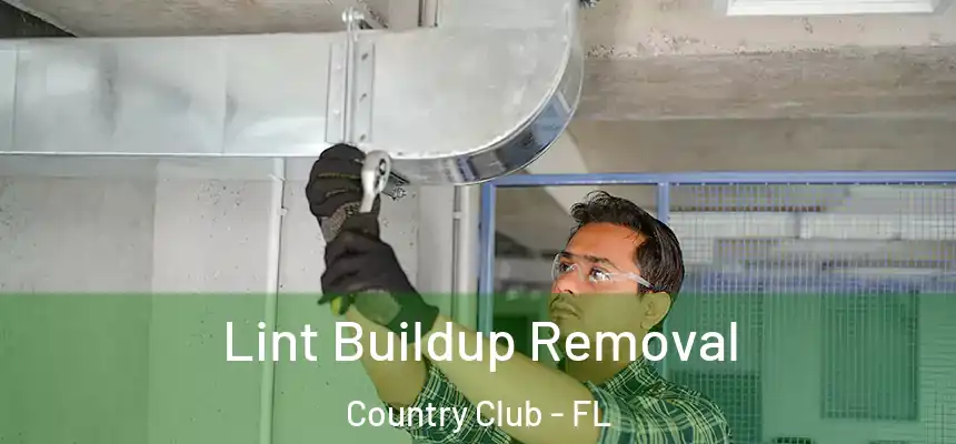Lint Buildup Removal Country Club - FL