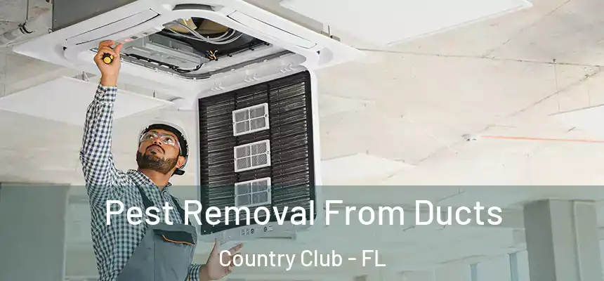 Pest Removal From Ducts Country Club - FL