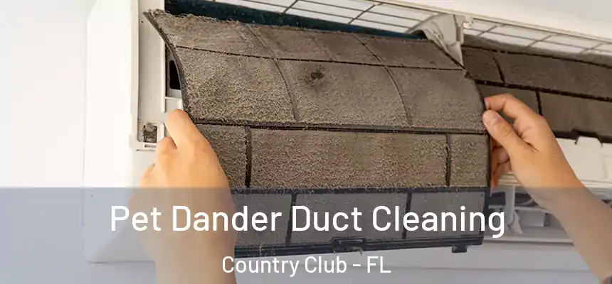 Pet Dander Duct Cleaning Country Club - FL
